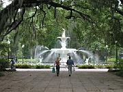 Savannah 104